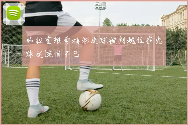 弗拉霍维奇精彩进球被判越位在先球迷惋惜不已